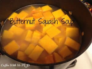 Butternut Squash in chicken stock