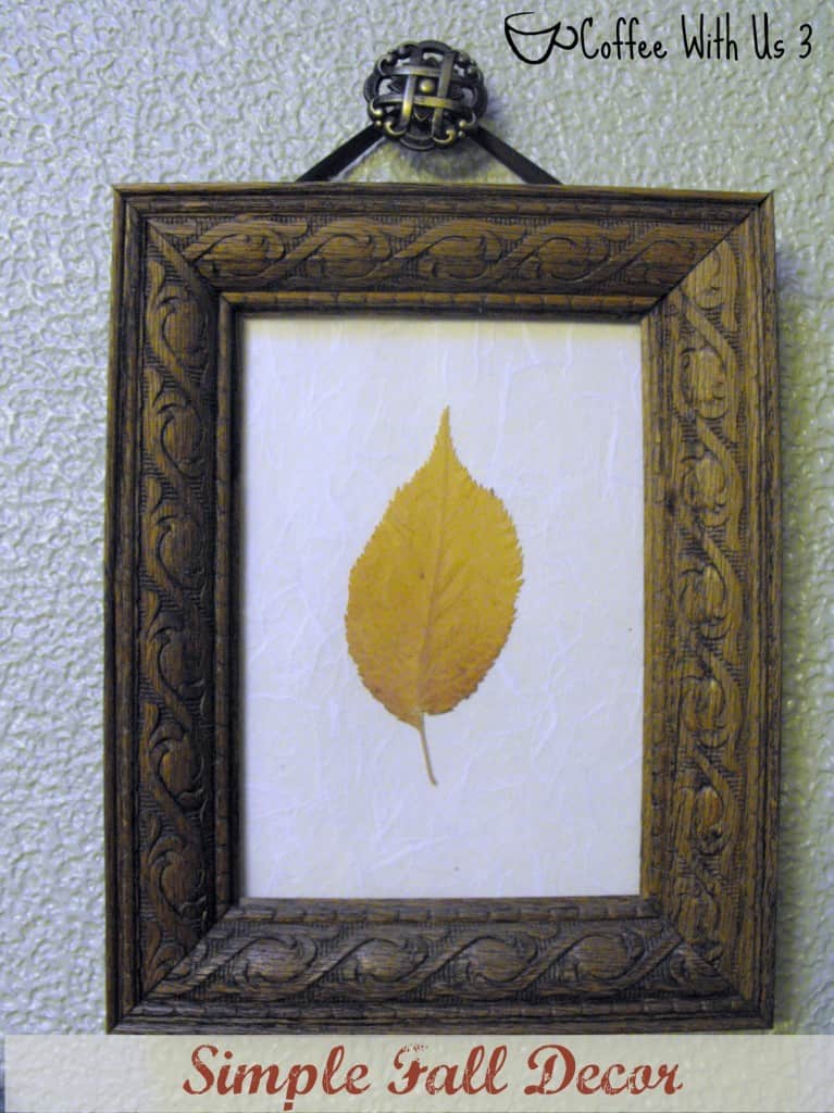 Change your decor for fall in an easy, simple, but beautiful way!  