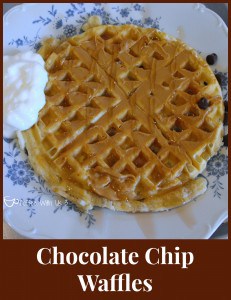 Chocolate Chip Waffles with PB