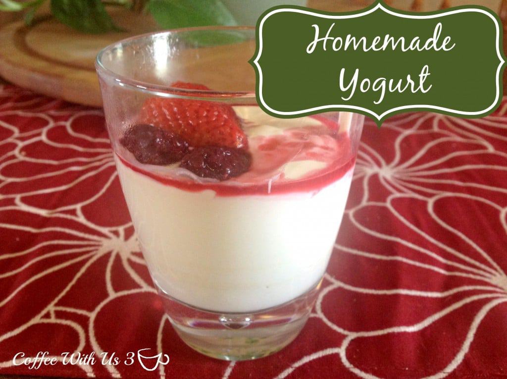 Homemade DIY Yogurt