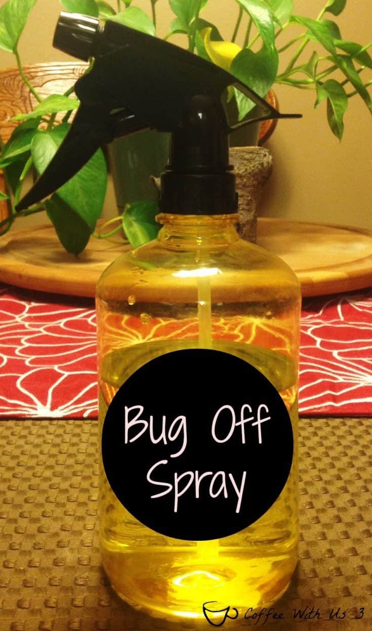 DIY Bug Off Spray