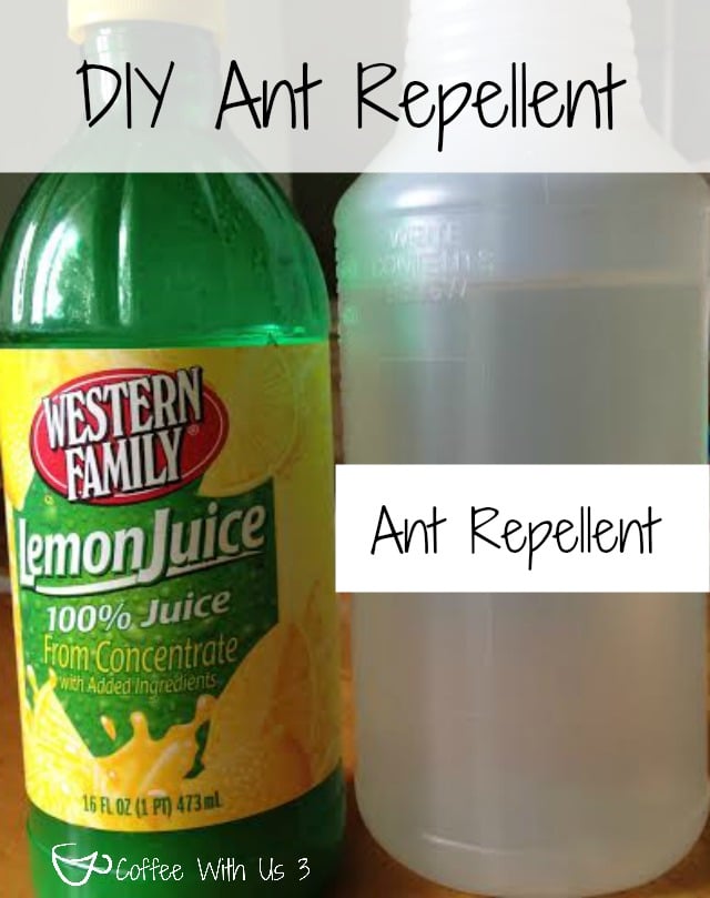 DIY Ant Spray & Ant Repellent | Need to get rids of ants fast? You can make this DIY Ant Spray with stuff you have on hand at home!! Plus use the even easier to make DIY repellent to keep them away! Click the pin to get the recipe!
