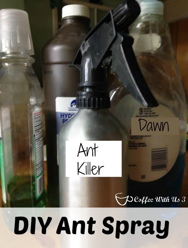 DIY Ant Spray & Ant Repellent | Need to get rids of ants fast? You can make this DIY Ant Spray with stuff you have on hand at home!! Plus use the even easier to make DIY repellent to keep them away! Pin to save for when ants invade your house!