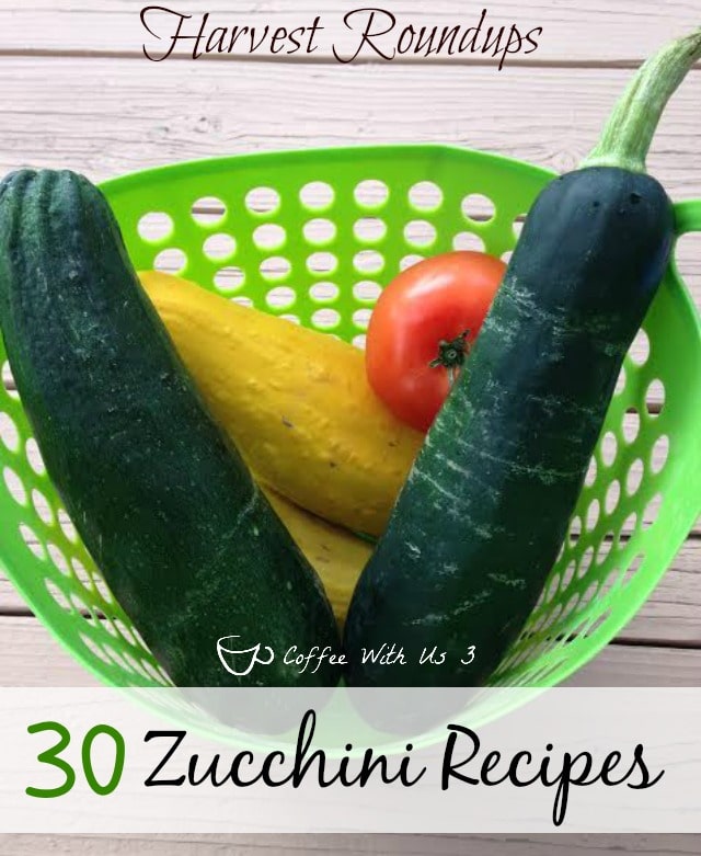 zucchini roundup