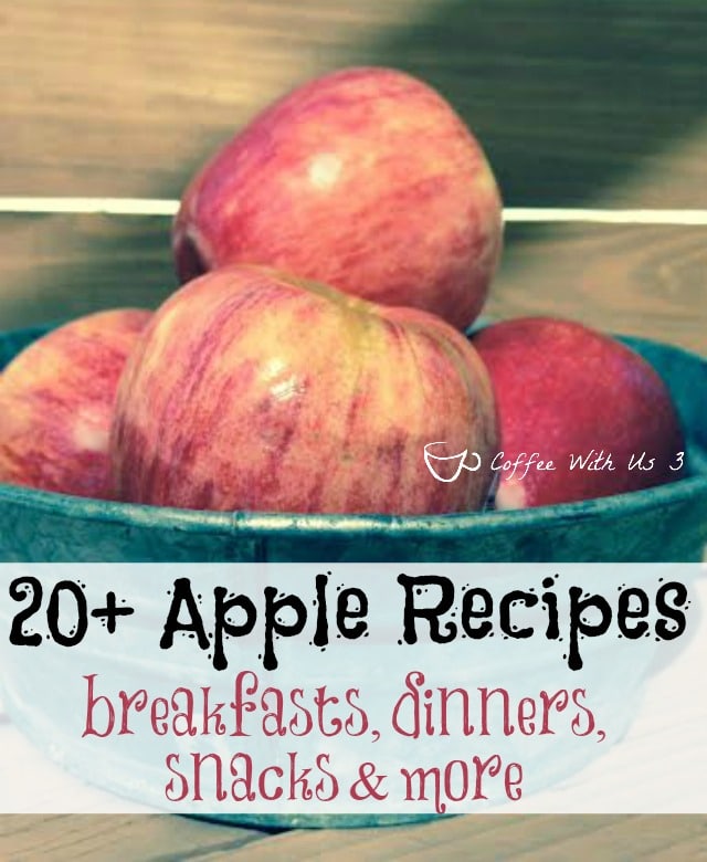 Part 2 of our Apple Roundups. You'll find 20+ Apple Recipes featuring dinners, breakfasts, snacks, baked apples, and many more apple recipes.