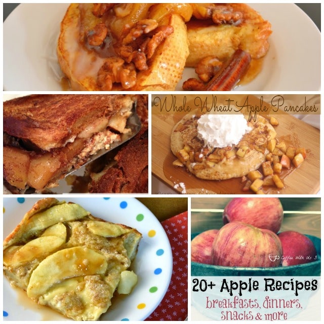 Part 2 of our Apple Roundups. You'll find 20+ Apple Recipes featuring dinners, breakfasts, snacks, baked apples, and many more apple recipes.