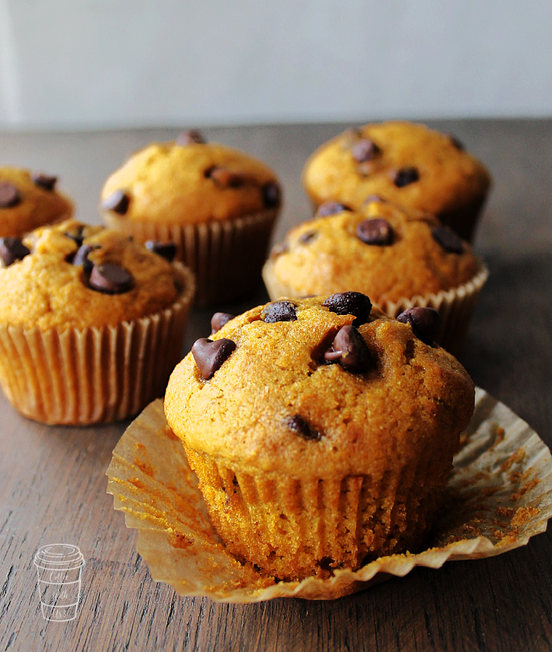 Pumpkin Chocolate Chip Muffins