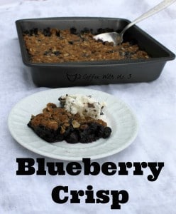 Good old-fashioned Blueberry Crisp dessert with a golden oat topping!