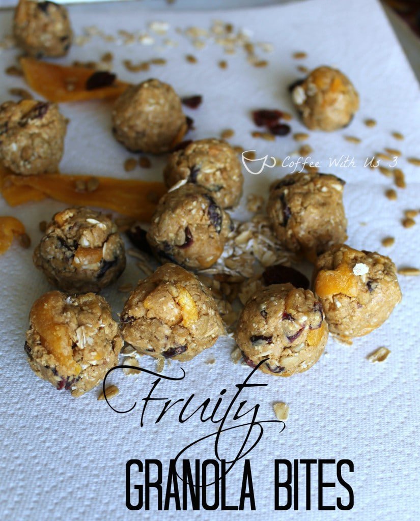 Fruity Granola Bites are delicious and healthy snacks! 