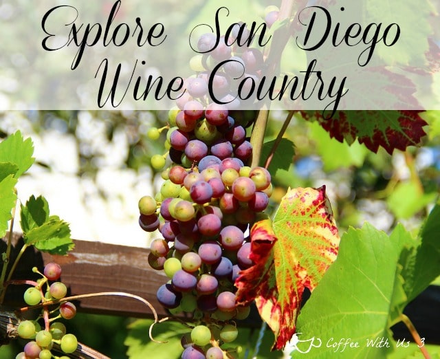 Wine making has been prominent in southern California since 1781 and surprisingly, that history began in San Diego. Find out more about present-day San Diego wineries and vineyards.