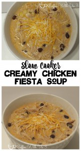 Slow Cooker Creamy Chicken Fiesta Soup. Kid approved. Let your Crockpot do the work!