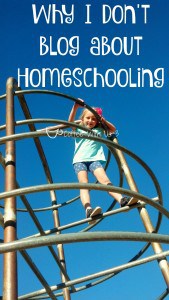 Why I don't blog about Homeschooling. 