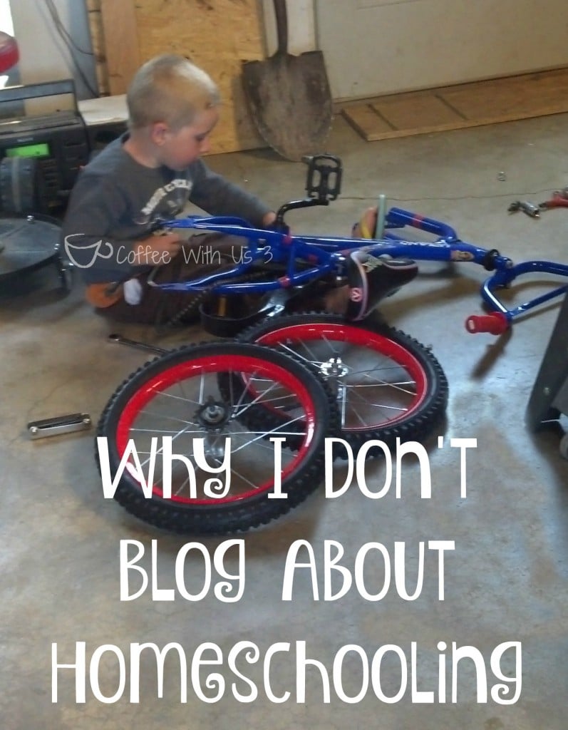 Why I don't blog about homeschooling