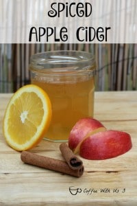 Spiced Apple Cider is a perfect warm beverage for the Christmas season or the chill of winter.  Also with a slow cooker variation and canning directions. 