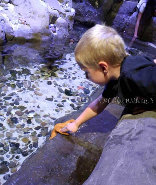 Loveland Living Planet Aquarium is a must-see if you're travelling to Salt Lake City!