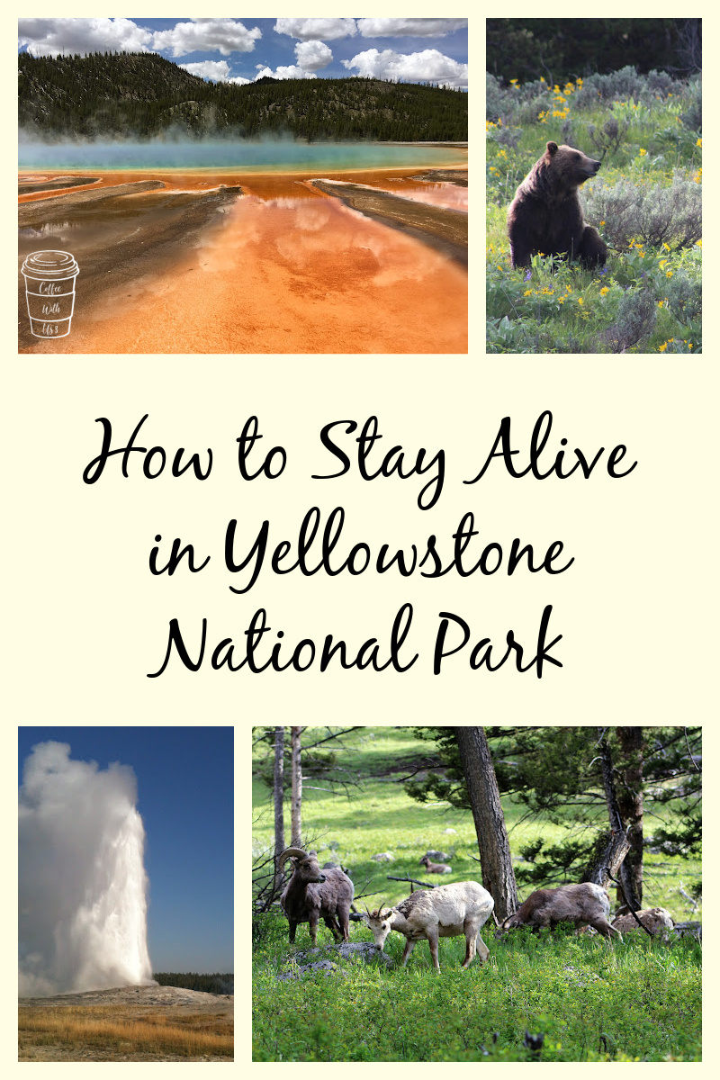 How to Stay Alive in Yellowstone National Park