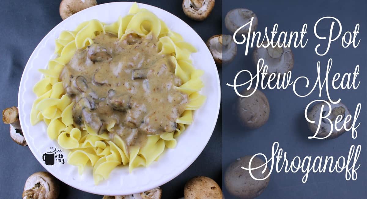 Beef Stroganoff made with stew meat over egg noodles on white plate with mushrooms around plate.