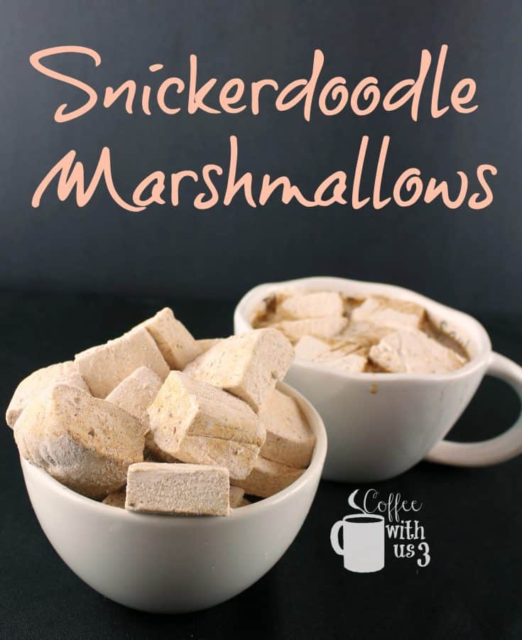Snickerdoodle Homemade Marshmallows Coffee With Us 3