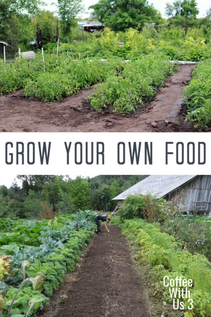 Grow Your Own Food | Coffee With Us 3